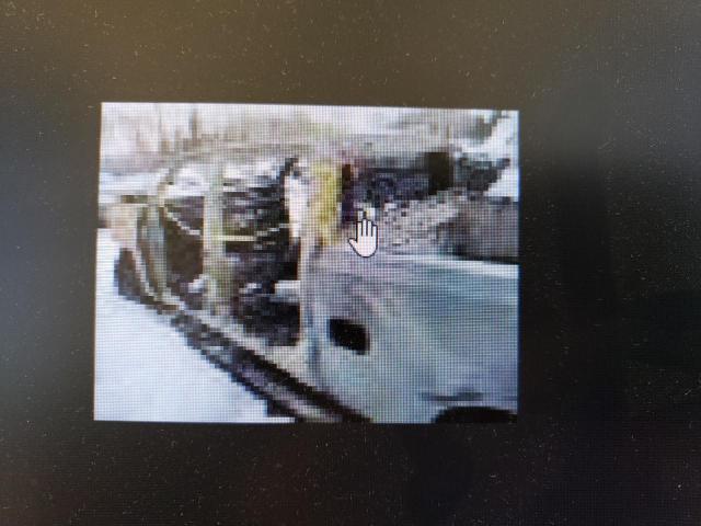 2022 CHEVROLET SILVERADO - 3GCUDFED7NG627608