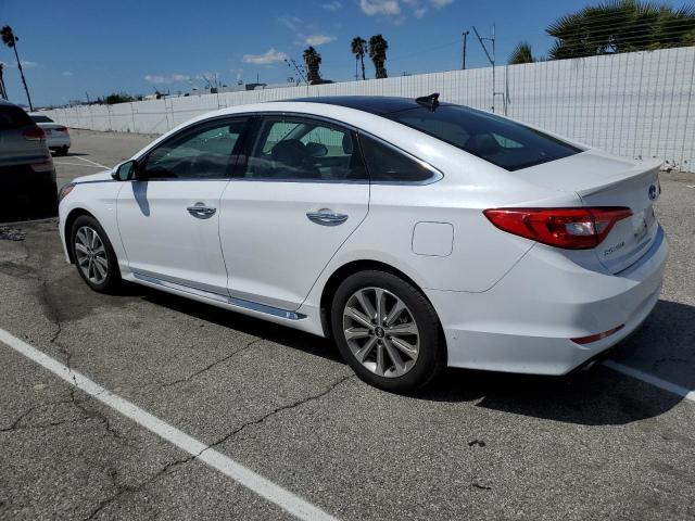 2016 HYUNDAI SONATA SPO - 5NPE34AF7GH266605