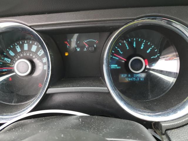 1ZVBP8AM4E5250031 Ford MUSTANG