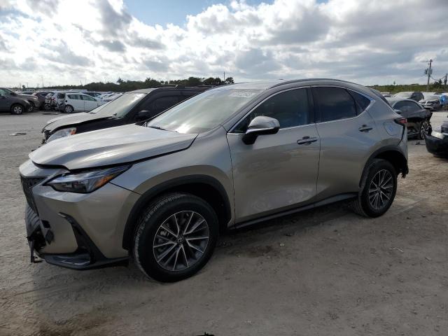 2023 LEXUS NX 250 - 2T2ADCAZ5PC004788
