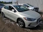 HYUNDAI ELANTRA SE photo