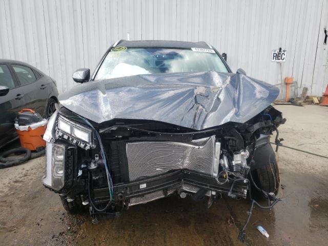 2023 HYUNDAI PALISADE C - KM8R7DGE2PU552304