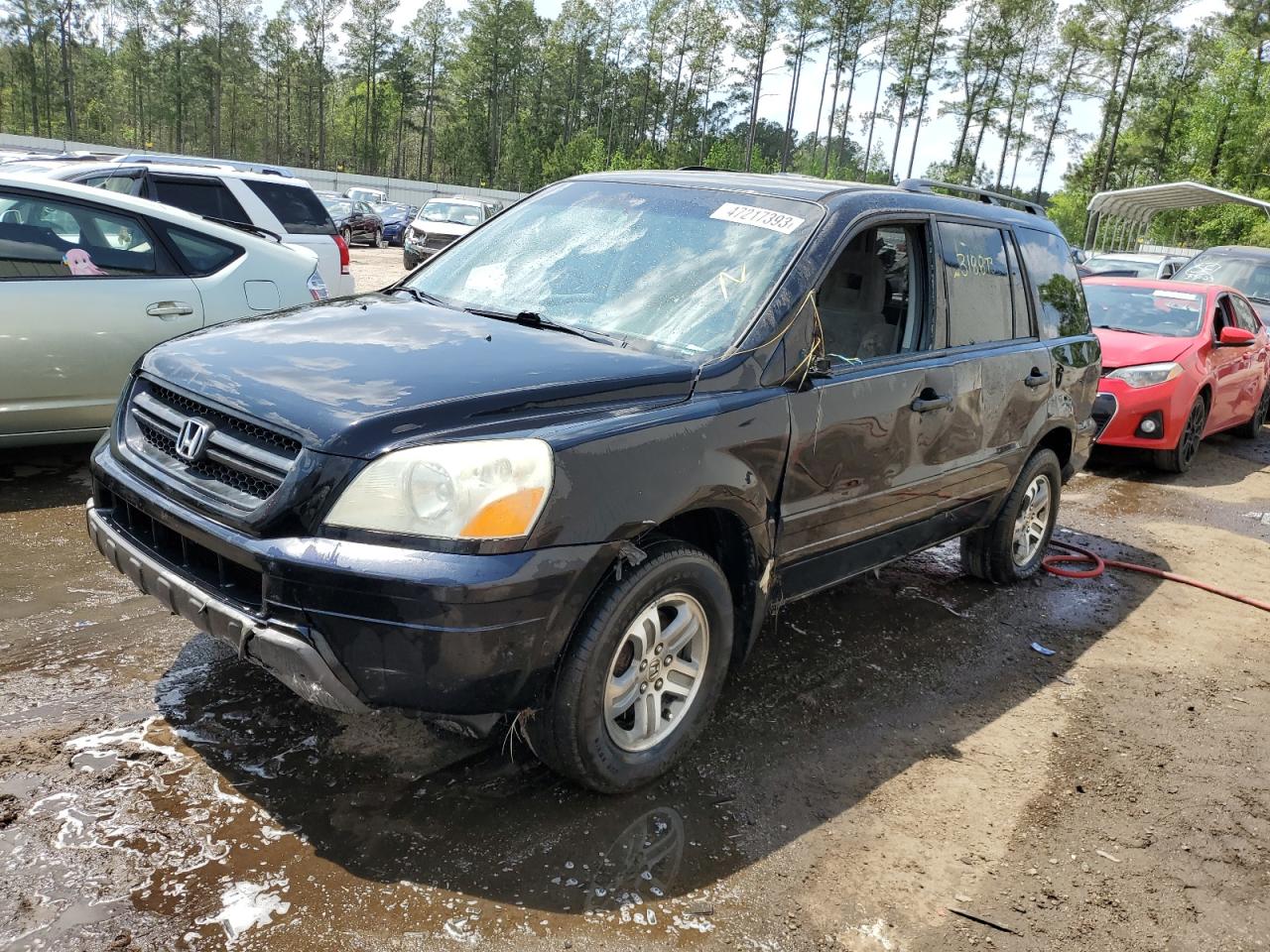 2005 Honda Pilot Ex VIN: 5FNYF184X5B052100 Lot: 65820254