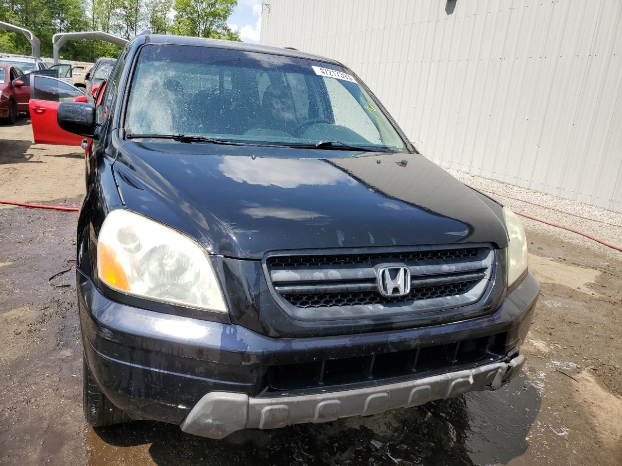 2005 Honda Pilot Ex VIN: 5FNYF184X5B052100 Lot: 65820254