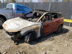 Salvage World Auctions