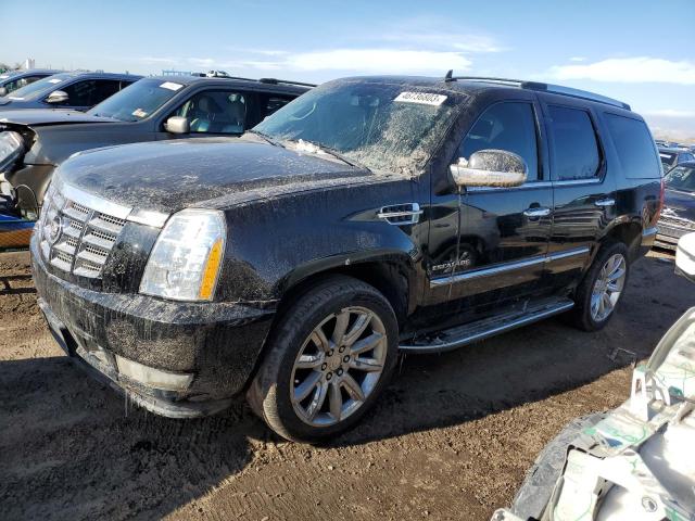 2010 Cadillac Escalade Luxury