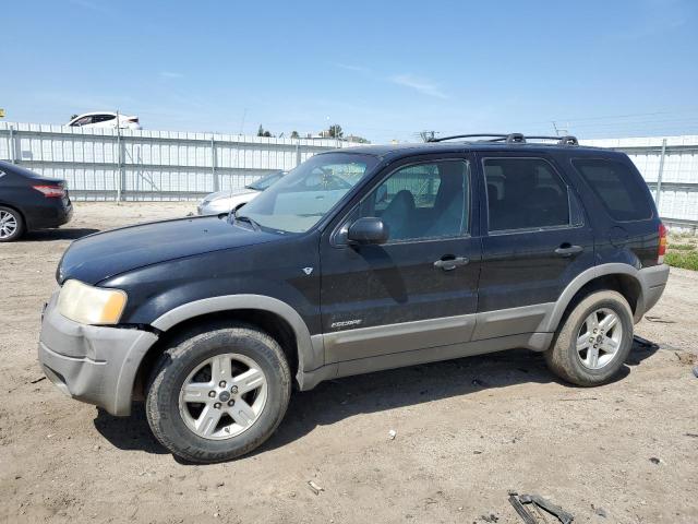 2001 Ford Escape XLT