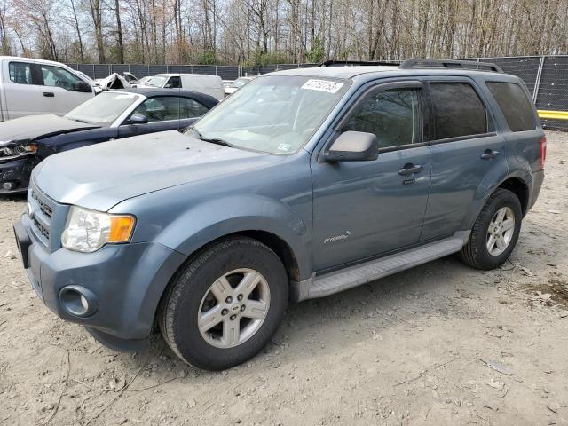 2010 Ford Escape Hybrid