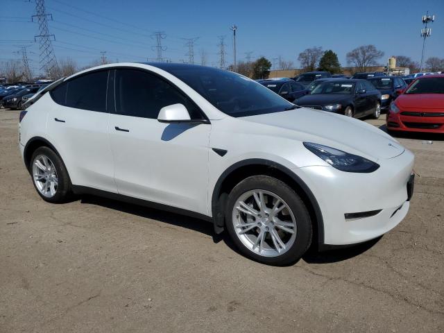 5YJYGDED7MF174981 Tesla Model Y  4