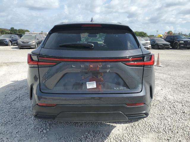2023 LEXUS NX 250 - 2T2GDCAZ3PC003424