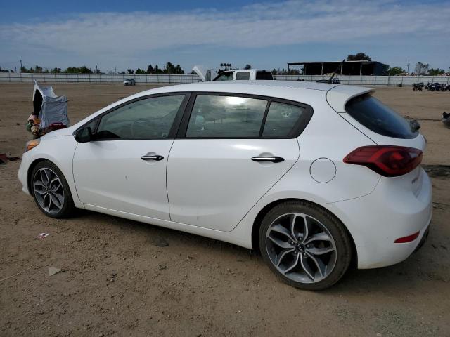 KNAFZ5A32G5501052 KIA FORTE SX