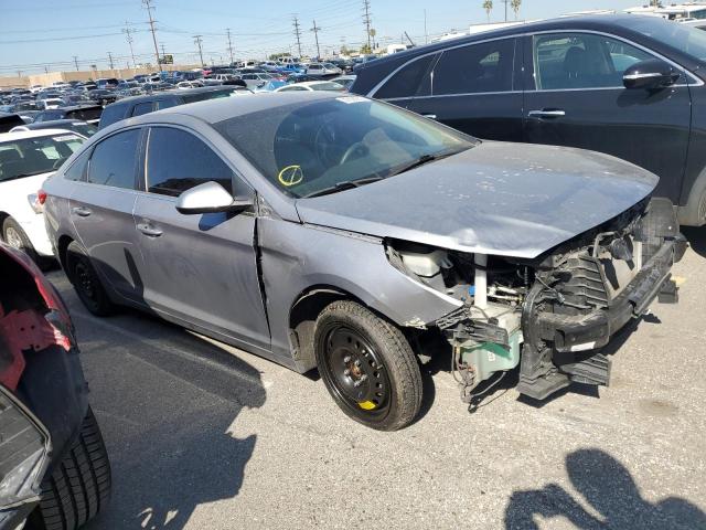 5NPE24AF0GH393764 Hyundai SONATA SE