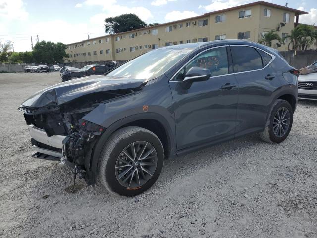 2023 LEXUS NX 250 - 2T2GDCAZ3PC003424