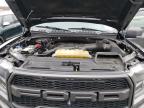 FORD F150 RAPTO photo