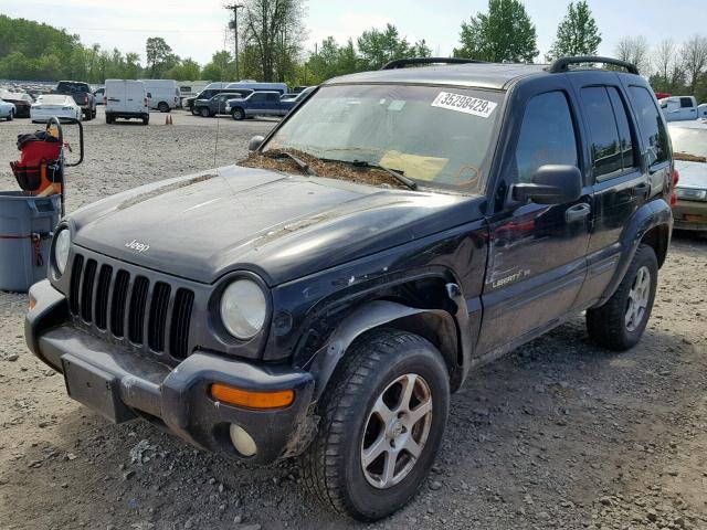 2002 jeep liberty cruise control