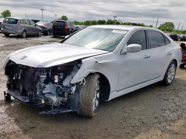 2013 HYUNDAI EQUUS SIGN KMHGH4JH6DU060426