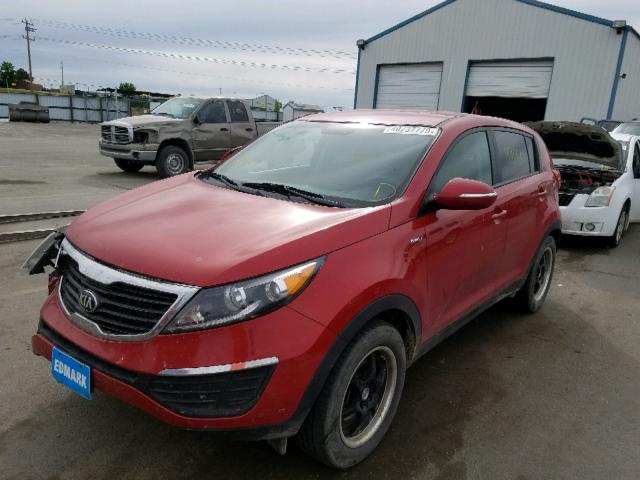 VIN 1N4BL3AP5GC173136 2013 KIA SPORTAGE L no.2