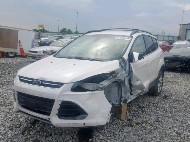 VIN 5NPDH4AE8GH791287 2016 Hyundai Elantra, SE no.2