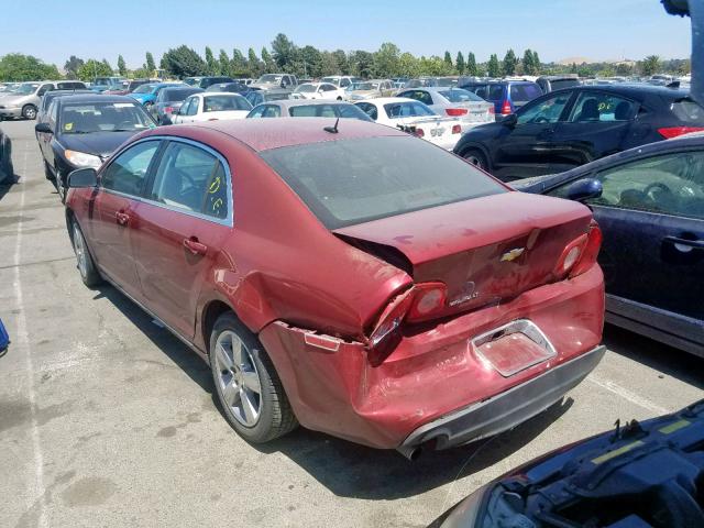 VIN 4T1B61HK8KU751115 2019 Toyota Camry, Xse no.3