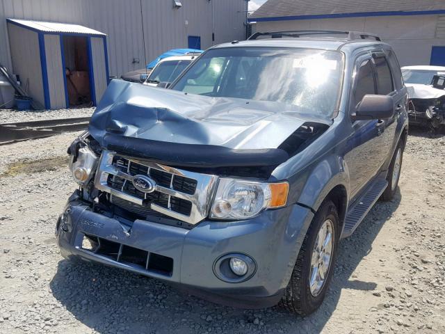 2011 FORD ESCAPE XLT 1FMCU0DG9BKB01565