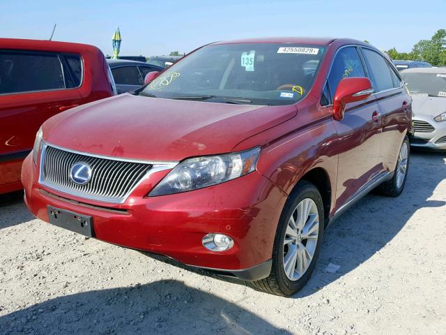 2010 LEXUS RX 450 JTJZB1BA1A2002856