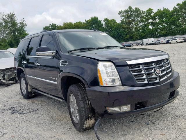 2007 Cadillac Escalade 6 2l 8 For Sale In Lexington Ky Lot 44840789