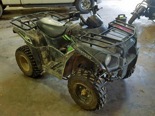 Kawasaki Brute Force 300