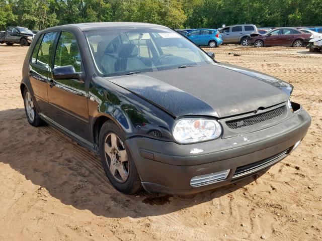volkswagen golf 2002 vin 9bwgb61jx24058055