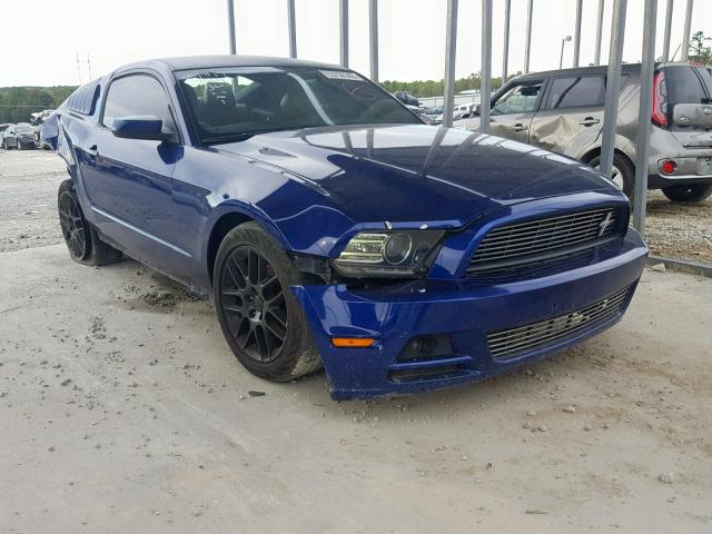 ford mustang 2013 vin 1zvbp8am0d5267360