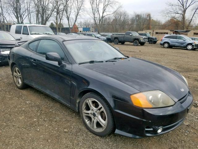 hyundai tiburon 2004 vin kmhhn65f44u145217