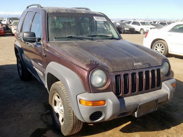 jeep liberty 2004 vin 1j4gl48k34w181238