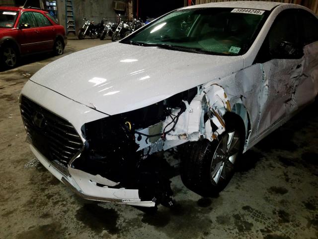2019 HYUNDAI SONATA SE 5NPE24AF2KH736048
