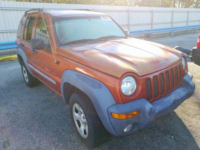 2002 jeep liberty cruise control