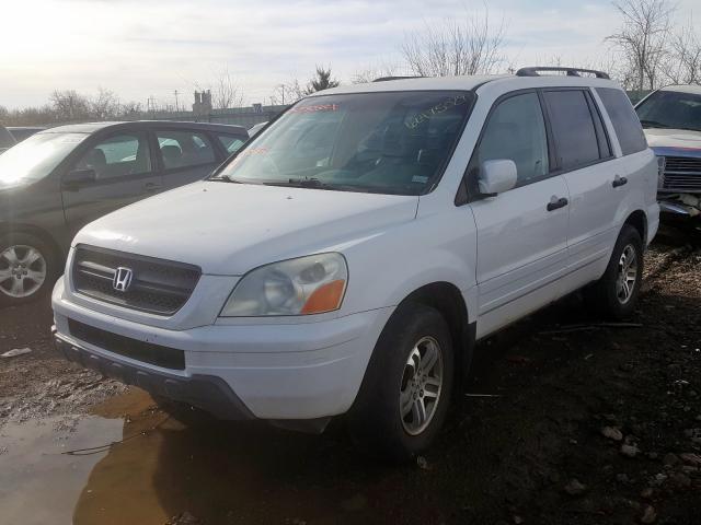 honda pilot 2004 vin 5fnyf18524b008826