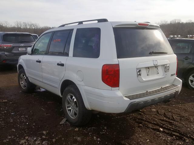 honda pilot 2004 vin 5fnyf18524b008826