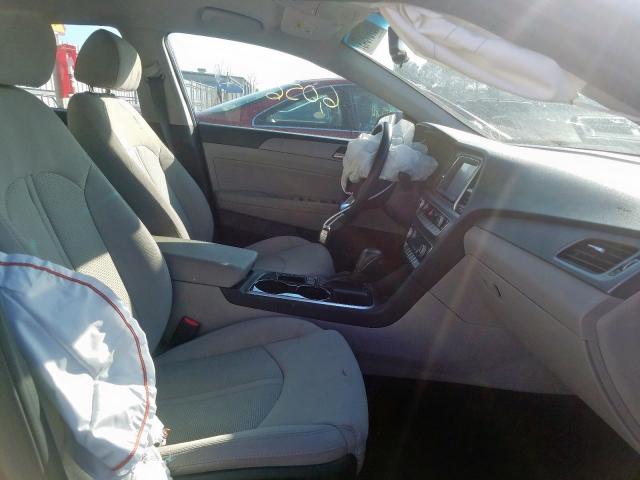 2019 HYUNDAI SONATA LIM 5NPE34AF7KH782584