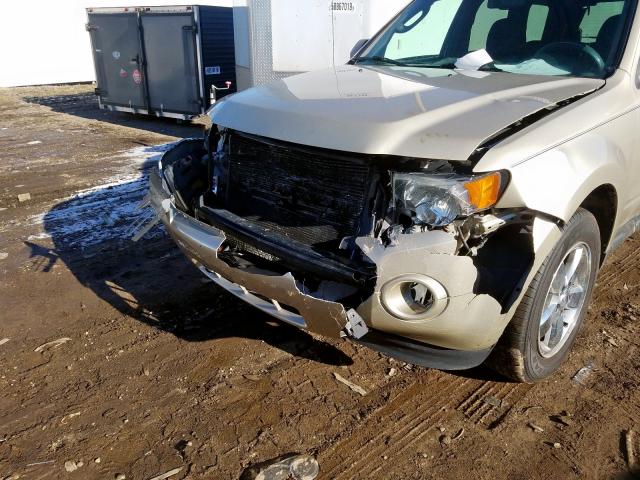 2010 FORD ESCAPE XLT 1FMCU9DG5AKB32055