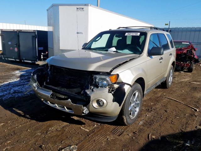 2010 FORD ESCAPE XLT 1FMCU9DG5AKB32055