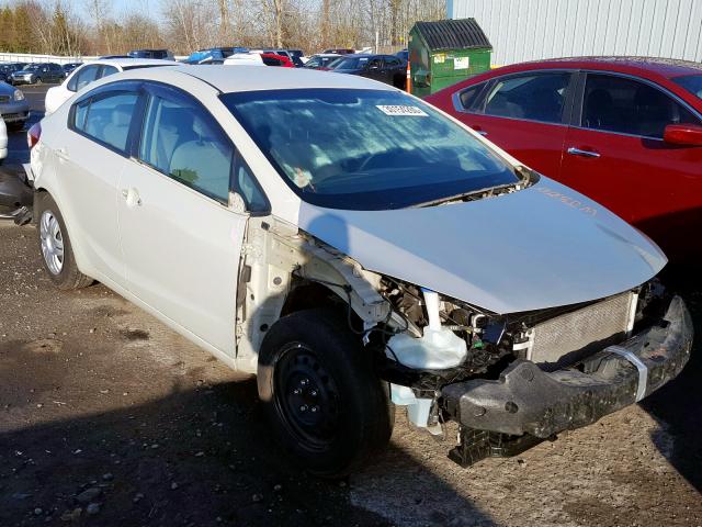 2014 KIA FORTE LX - KNAFK4A62E5112580
