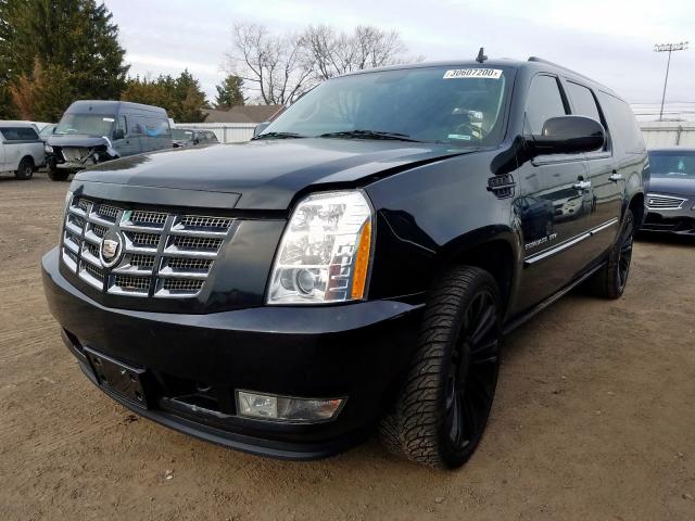 Cadillac Escalade ESV 2011