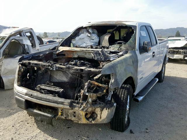 2013 FORD F150 SUPER - 1FTFX1CT8DFB91218