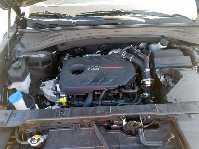 2019 HYUNDAI SANTA FE 5NMS53AA6KH117491