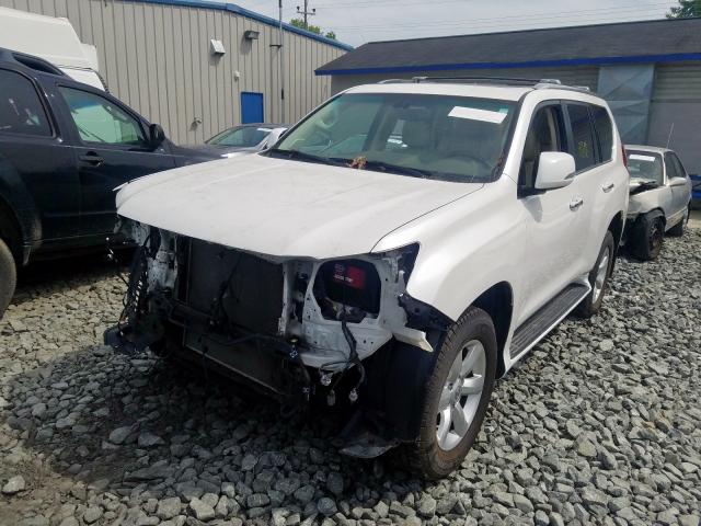 2010 LEXUS GX 460 JTJBM7FX6A5012505