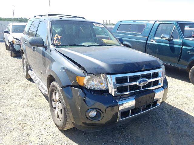 Ford Escape Hybrid 2009