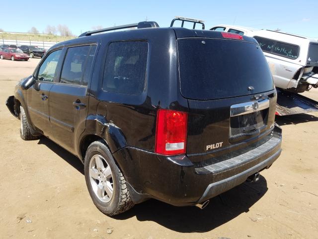 2010 HONDA PILOT EXL 5FNYF4H52AB025459