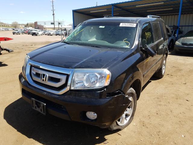 2010 HONDA PILOT EXL 5FNYF4H52AB025459
