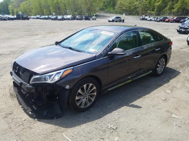 2016 HYUNDAI SONATA SPO 5NPE34AF3GH432294