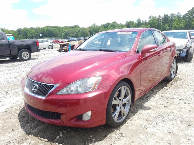 2010 LEXUS IS 250 JTHBF5C20A5124709