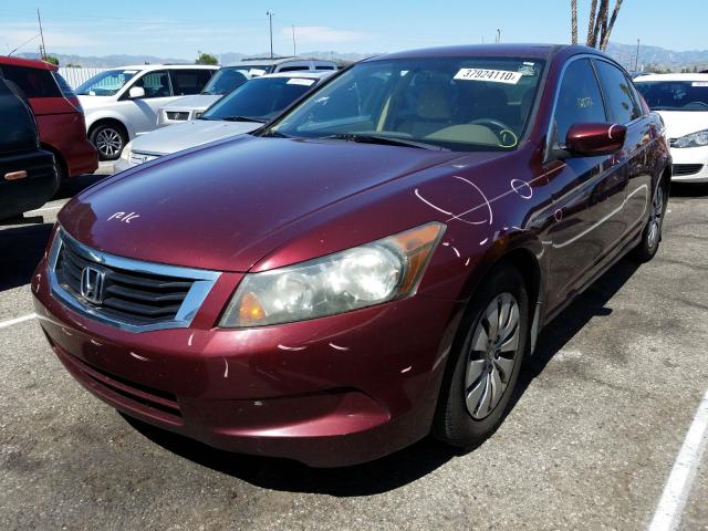 2010 HONDA ACCORD LX 1HGCP2F3XAA139457