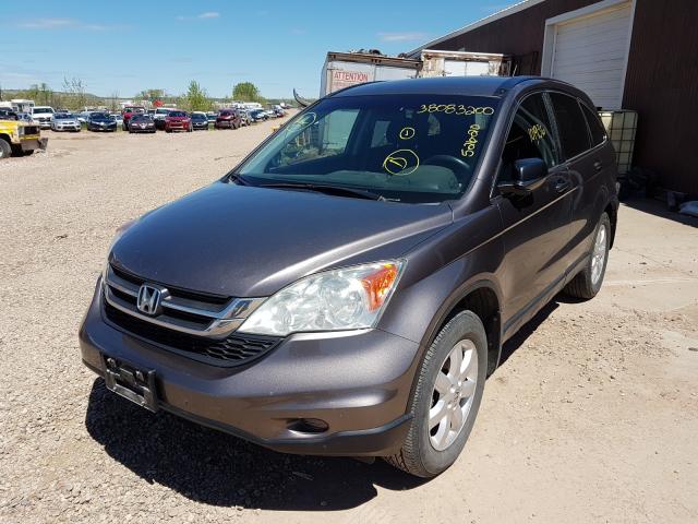 2011 HONDA CR-V SE 5J6RE4H44BL099358
